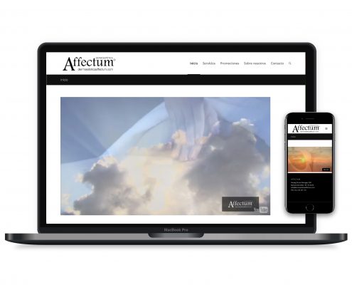 Diseño paginas web Barbera